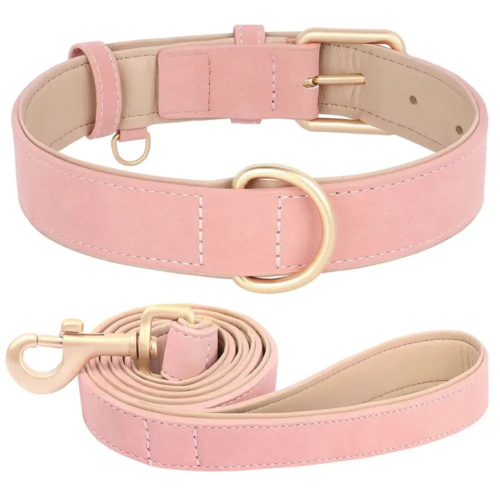 Ensemble laisse et collier chien en simili cuir rose avec boucle dorée et attache en métal
