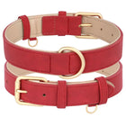 Ensemble laisse et collier chien en cuir rouge avec boucles dorées pour un style élégant