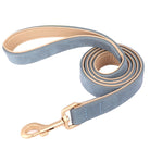 Ensemble laisse et collier chien en cuir bleu avec finitions dorées pour un look élégant