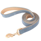 Ensemble laisse et collier chien en cuir bleu avec finitions dorées pour un look élégant