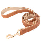 Ensemble laisse et collier chien en cuir beige avec une finition dorée élégante