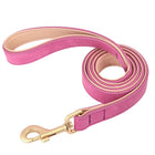 Ensemble laisse et collier chien en cuir rose avec finition dorée pour les promenades élégantes