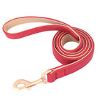 Ensemble laisse et collier chien en cuir rouge avec une finition dorée élégante