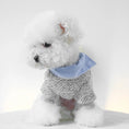 Bild in Galerie-Betrachter laden, Ensemble Sweat Chemise pour petit chien Oscar et Plume XS
