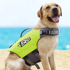 Chien portant un gilet de sauvetage pour chien jaune fluo et noir au bord de la mer