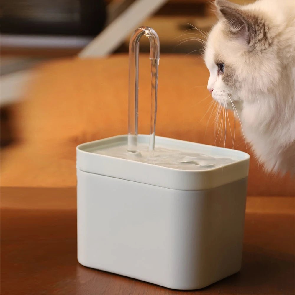 Fontaine à eau très silencieuse pour chat - Oscar et Plume