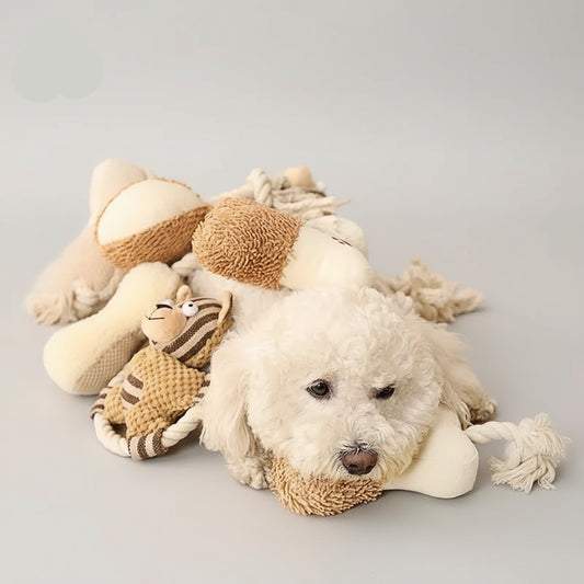Chien blanc jouant avec un jouet corde coton chien multicolore pour animaux