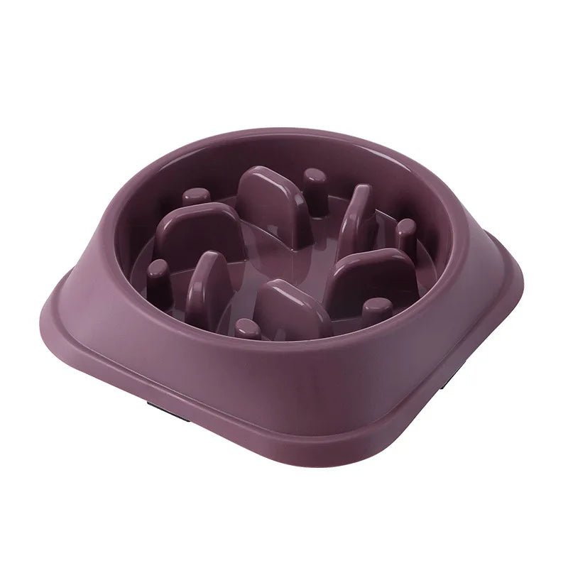 Gamelle anti glouton pour chien Oscar et Plume R-Violet