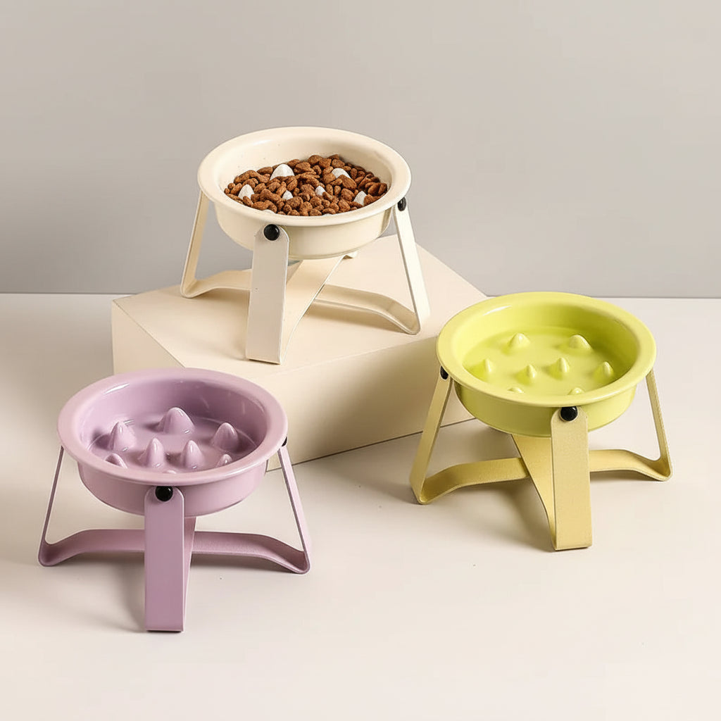 Gamelles anti glouton pour chien en différentes couleurs avec support stable pour un repas contrôlé