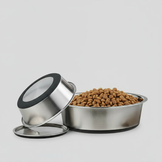 Gamelle chien inoxydable Oscar et Plume avec fond antidérapant et croquettes à côté d'un chien heureux