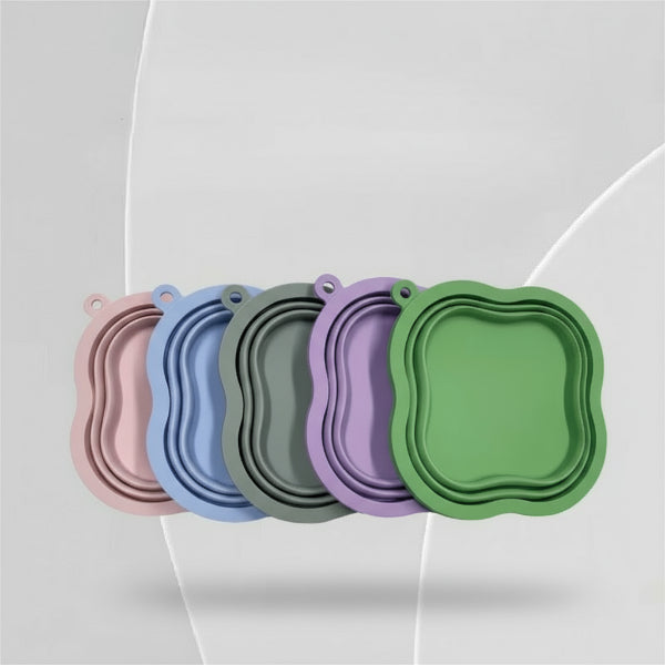 Gamelles pliables pour chien chat de différentes couleurs pratiques et compactes pour voyage