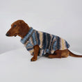 Charger l'image dans la visionneuse de la galerie, Teckel portant un gilet chaud pour teckel aux motifs rayés dans des tons bleus et beiges
