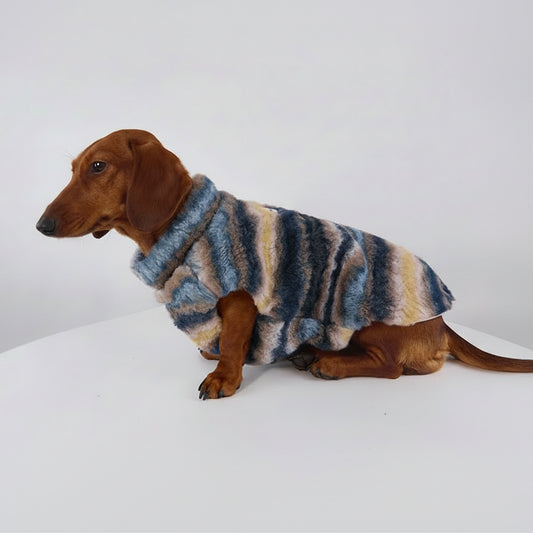 Teckel portant un gilet chaud pour teckel aux motifs rayés dans des tons bleus et beiges