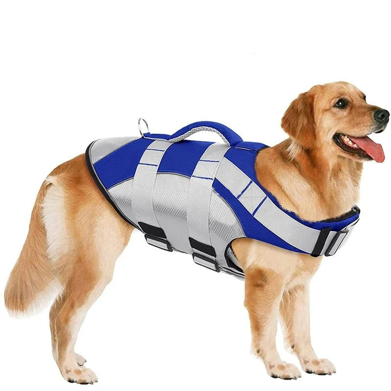 Chien portant un gilet de sauvetage chien bleu et gris avec poignée de sécurité pour natation
