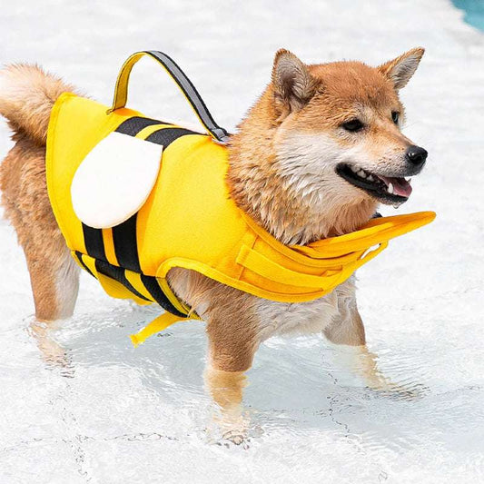 Chien dans l'eau portant un gilet de sauvetage chien jaune avec poignée et design confort Oscar et Plume