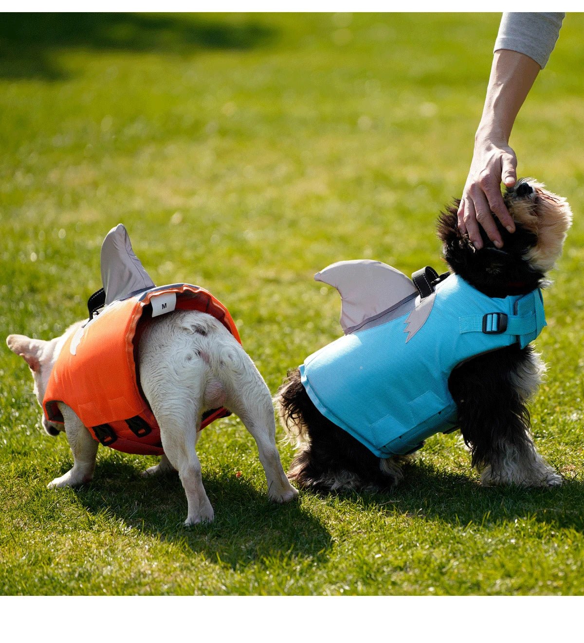 Gilet De Sauvetage pour Chien Haute Flottabilité Oscar et Plume Orange / XS