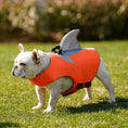 Load image into Gallery viewer, Gilet De Sauvetage pour Chien Haute Flottabilité Oscar et Plume Orange / XS
