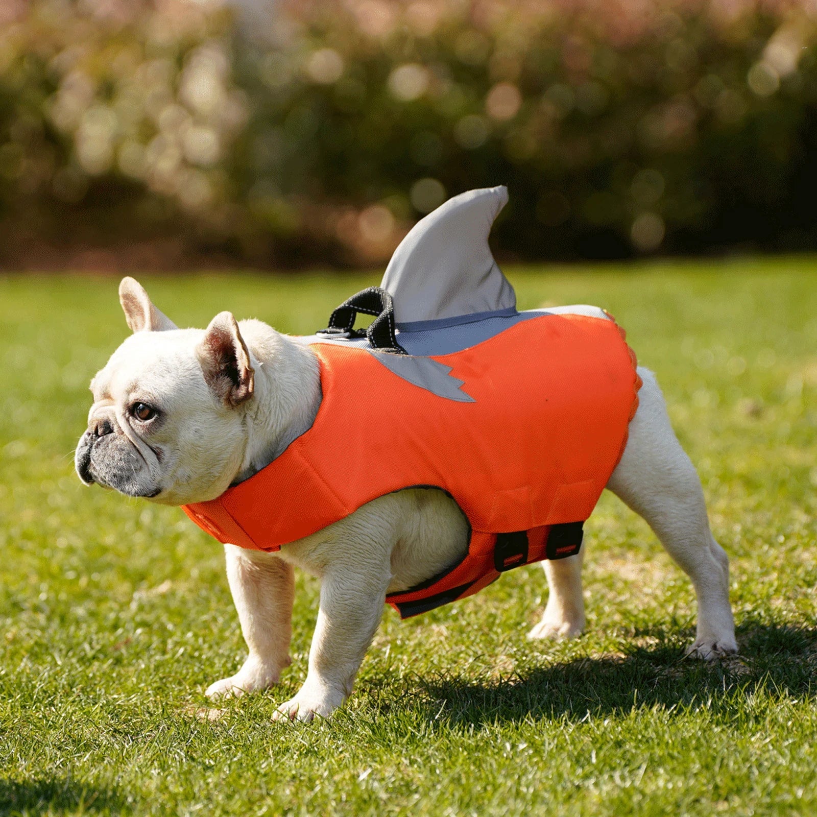 Gilet De Sauvetage pour Chien Haute Flottabilité Oscar et Plume Orange / XS