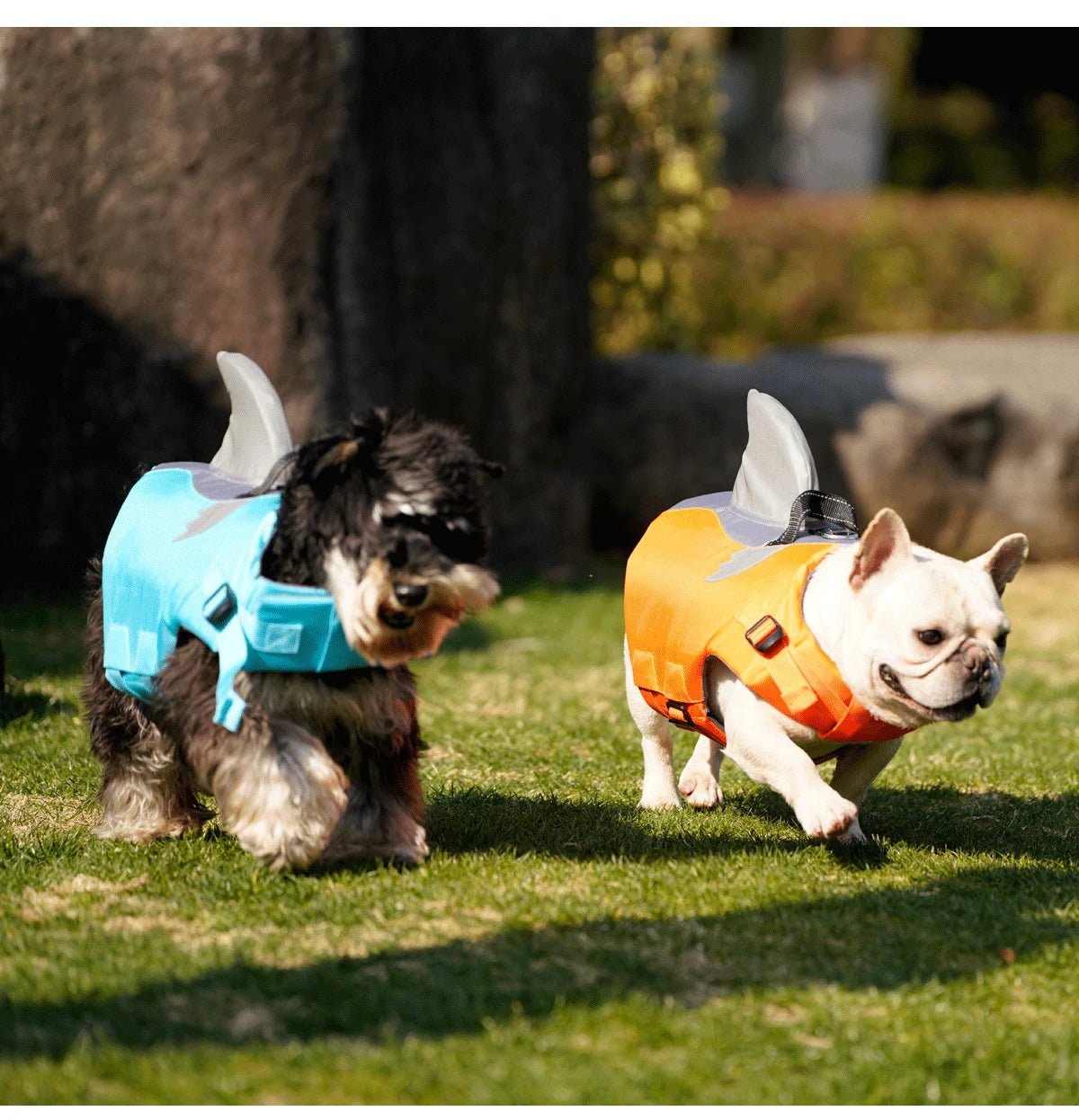 Gilet De Sauvetage pour Chien Haute Flottabilité Oscar et Plume Orange / XS