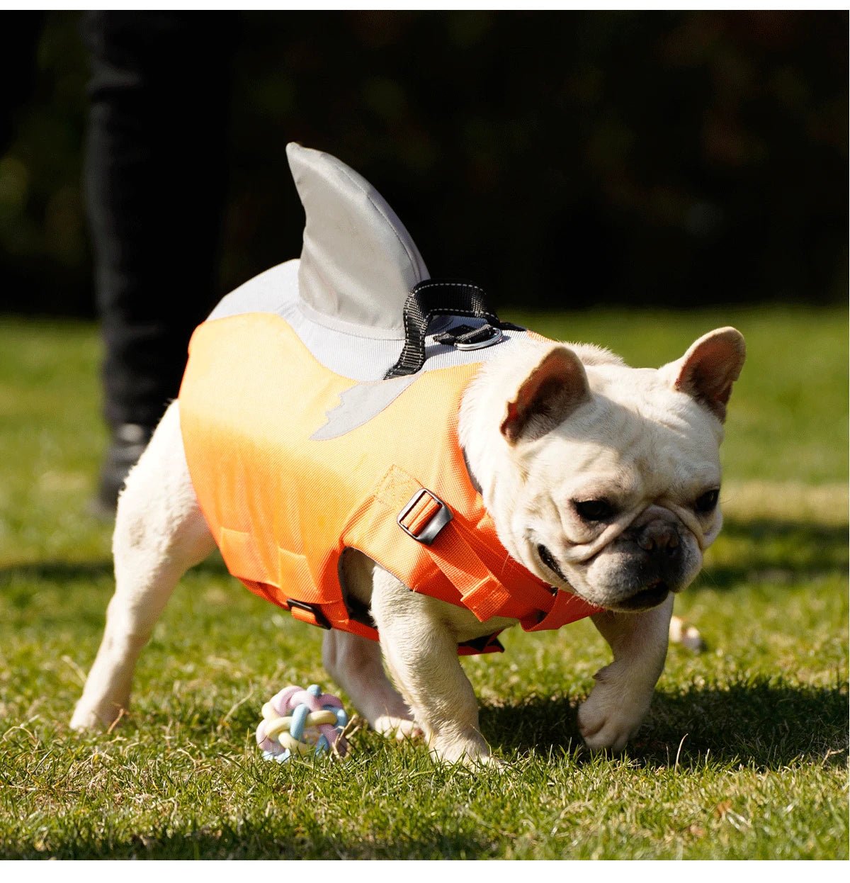 Gilet De Sauvetage pour Chien Haute Flottabilité Oscar et Plume Orange / XS