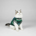 Charger l'image dans la visionneuse de la galerie, Gilet en laine pour chat vert avec motifs, confortable et élégant pour les saisons fraîches
