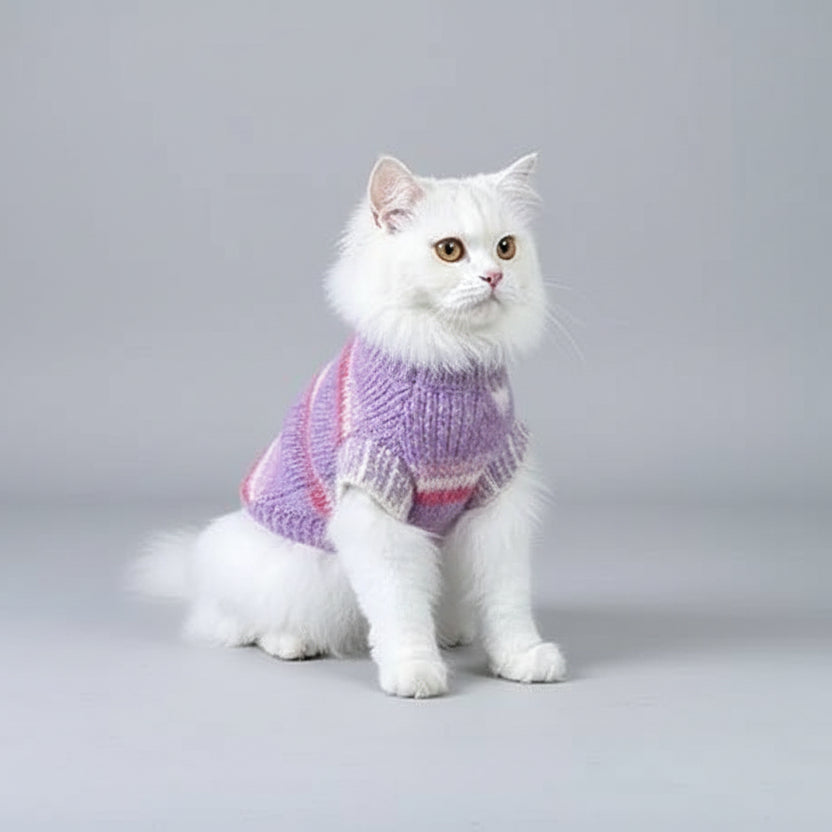 Gilet en laine pour chat rose et violet, parfait pour garder votre félin au chaud et élégant.