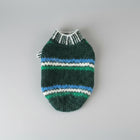 Gilet en laine pour chat vert et bleu avec un design rayé élégant et confortable
