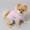 Charger l'image dans la visionneuse de la galerie, Gilet rafraîchissant chien et chat en rose et bleu pour garder votre animal au frais
