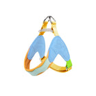 Harnais pour petit chien Good Dog en bleu et orange avec des sangles ajustables et confortables
