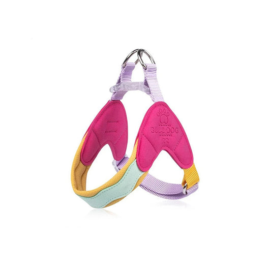 Harnais pour petit chien coloré en rose, jaune et vert, offrant confort et soutien pour les promenades