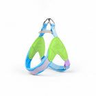 Harnais pour petit chien en bleu et vert avec rembourrage doux pour un confort optimal