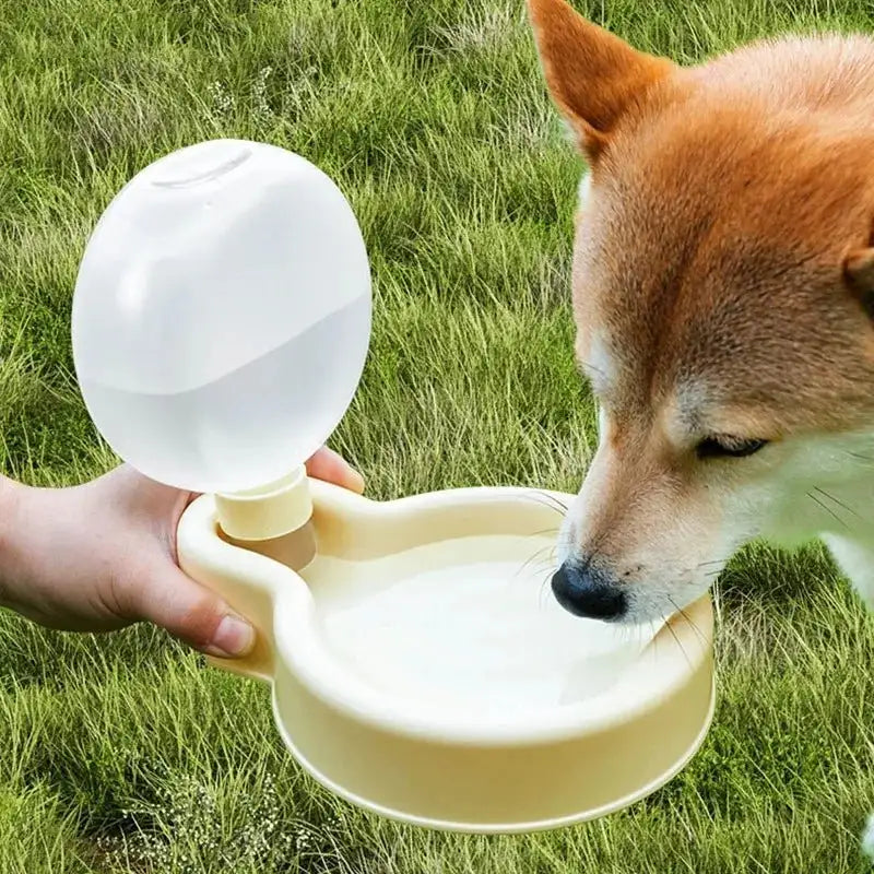 Gourde chien chat Oscar et Plume distributrice d'eau portable pour animaux en extérieur