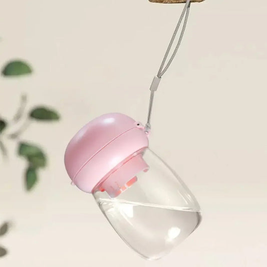 Bouteille Eau Portable