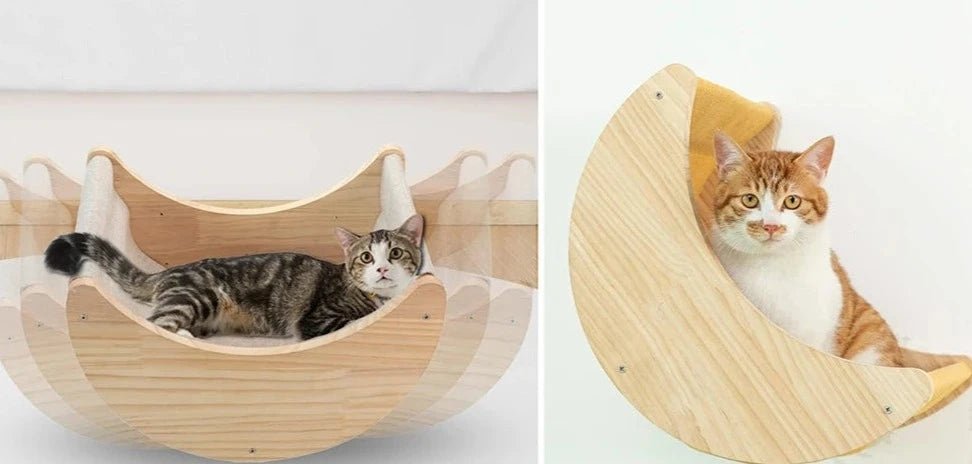 Hamac + marches sisal pour chat Oscar et Plume