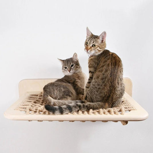 Hamac mural pour chat beige en corde avec cadre en bois supportant deux chats tigrés