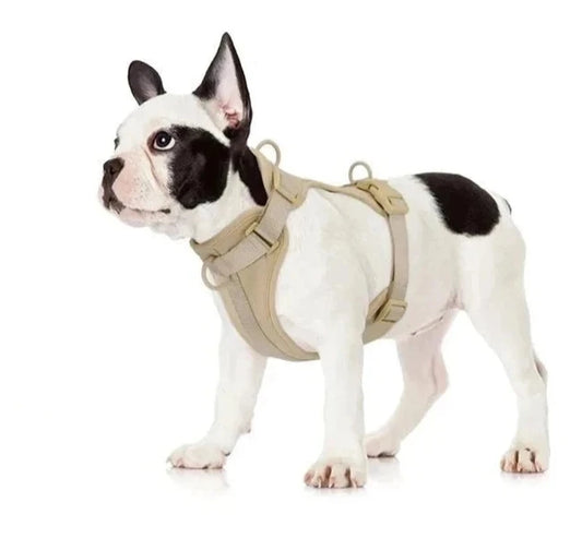 Harnais anti-traction en nylon pour chien Oscar et Plume