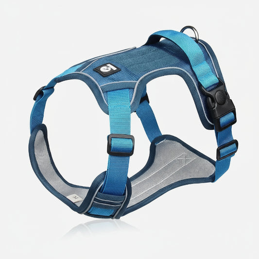 Harnais anti-traction pour chien en bleu avec un design confortable et réglable