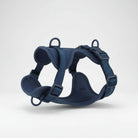 Harnais anti-traction pour chien en bleu marine avec boucles réglables et anneaux solides
