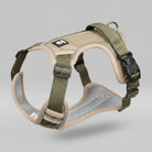 Harnais anti-traction pour chien Oscar et Plume en olive avec rembourrage confortable et attache réglable
