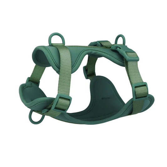 Harnais anti-traction pour chien Oscar et Plume, confortable et ajustable pour une promenade agréable.