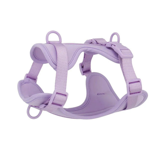 Harnais anti-traction pour chien en violet, léger et confortable pour les promenades faciles.