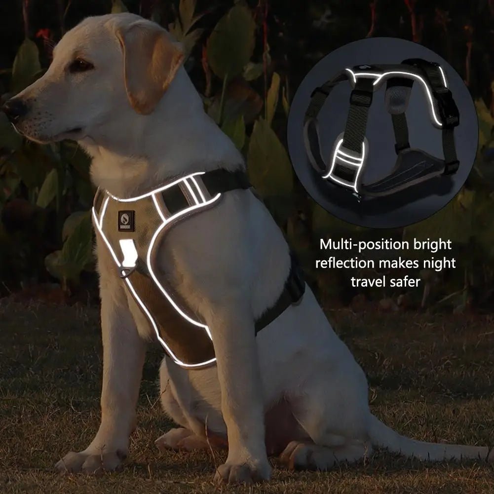 Harnais anti-traction pour moyen et grand chien Oscar et Plume