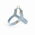 Harnais chien simili cuir bleu avec des détails dorés pour un look élégant et confortable
