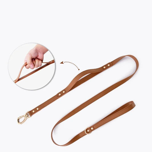 Harnais chien simili cuir de couleur marron avec boucle dorée pour un confort optimal