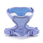 Harnais chien velours violet doux et respirant avec boucles réglables pour promenade confortable