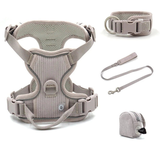 Harnais chien velours beige avec laisse coordonnée, collier et sac de rangement par Oscar et Plume