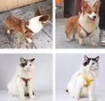 Load image into Gallery viewer, Harnais en cuir durable pour petit chien et chat Oscar et Plume
