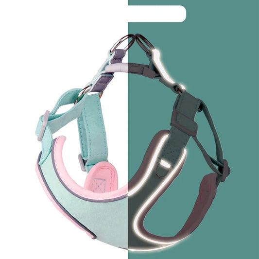 harnais et laisse réglables pour chien Oscar et Plume en nylon rembourré mint et rose avec poignée réfléchissante