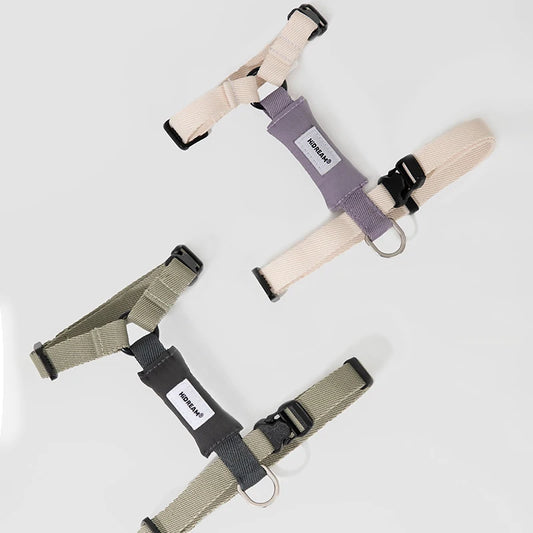 Harnais et laisse pour chat Oscar et Plume en trois couleurs stylées pour des promenades confortables