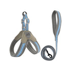Harnais et laisse pour chien en tissu respirant avec des détails en bleu et gris pour le confort des animaux